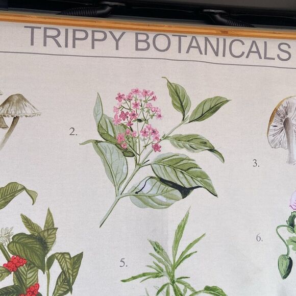 Trippy Botanicals Illustrated Tapestry Urban Outfitters wall hanging - Picture 2 of 9
